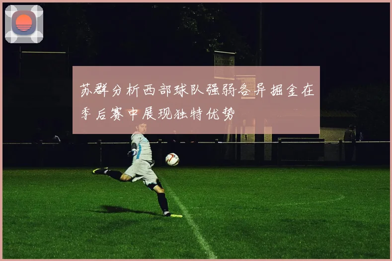 苏群分析西部球队强弱各异掘金在季后赛中展现独特优势